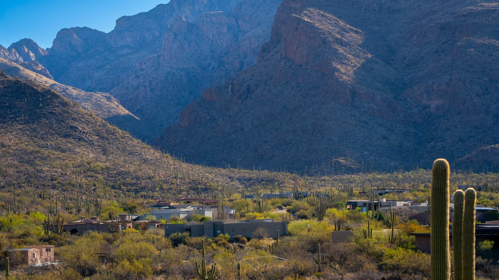 Green Valley Neighborhood Guide