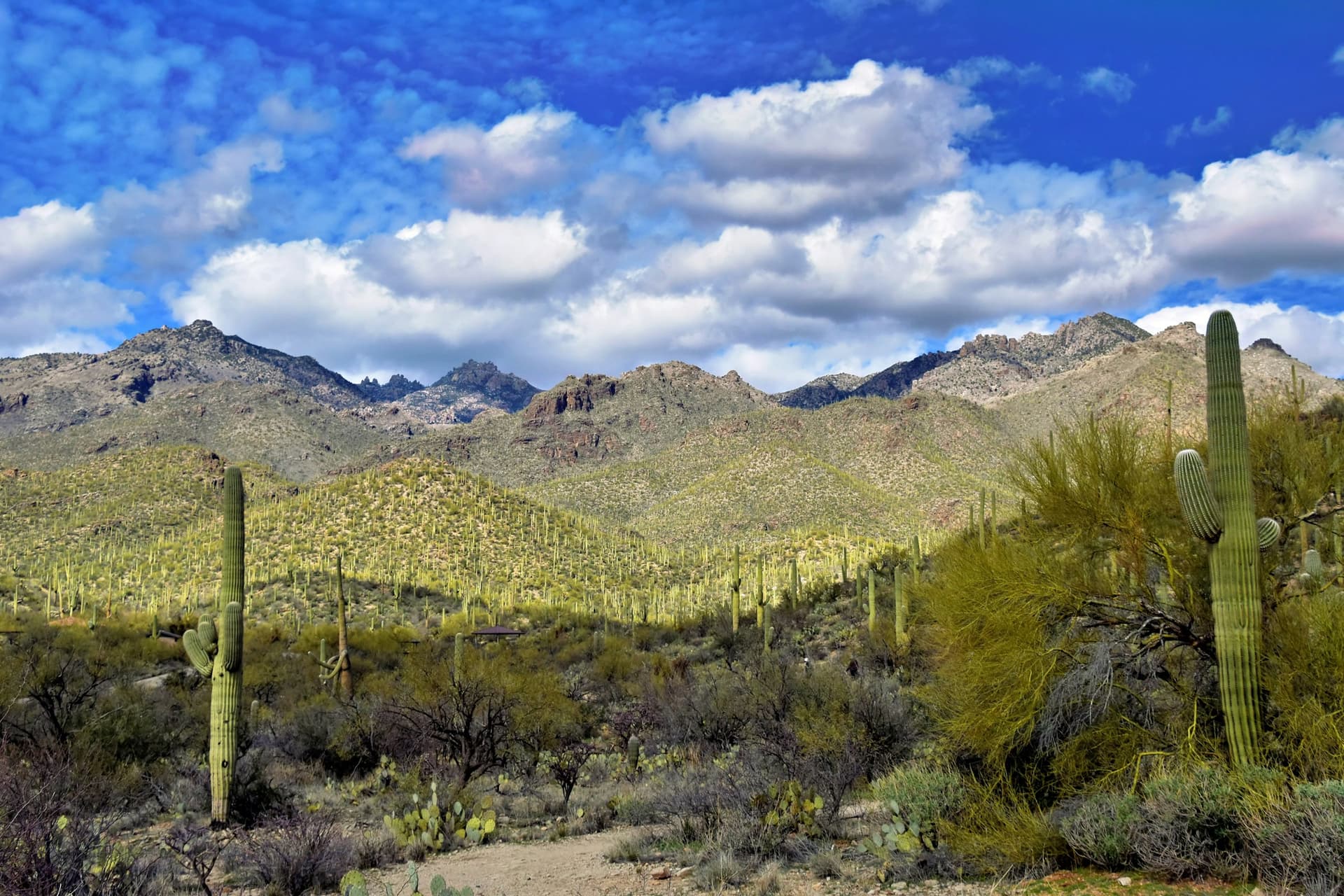 Rincon Valley