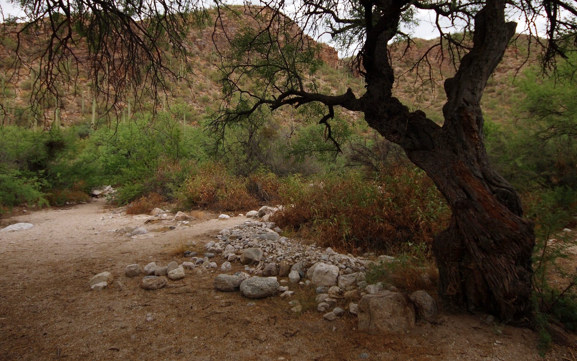 Sabino Canyon, Tucson AZ