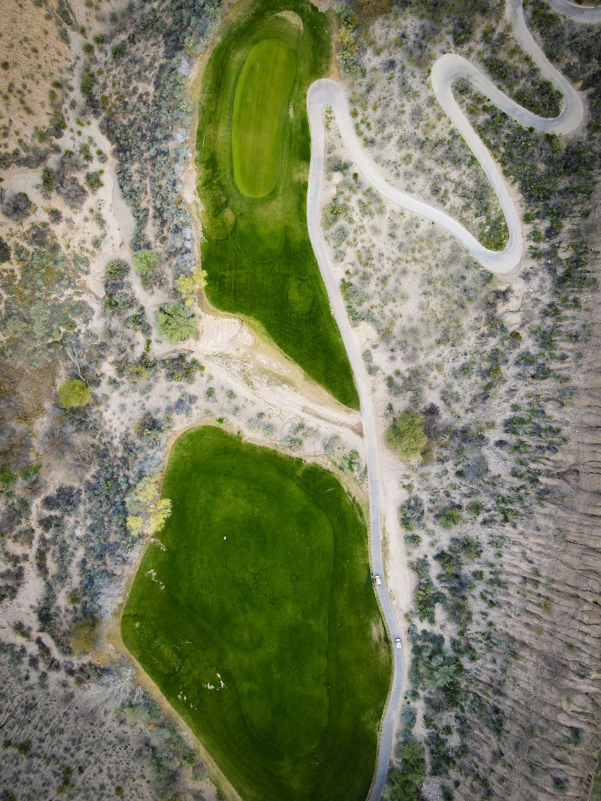 55+ Communities in Tucson: SaddleBrooke, Quail Creek, Sun City and More (2026)