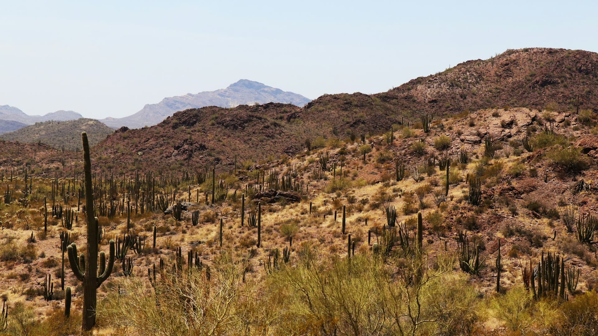 Sahuarita, Tucson AZ