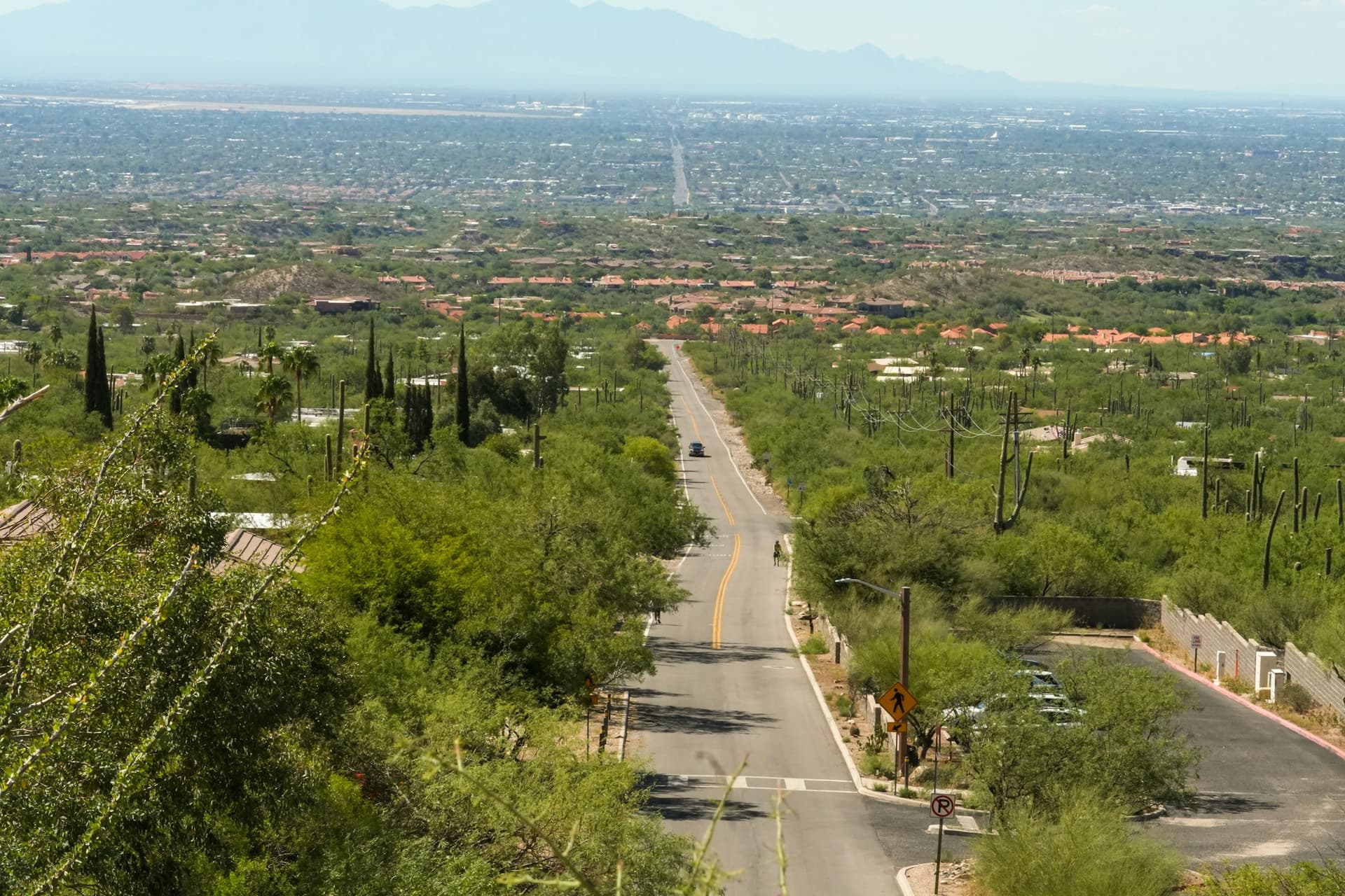 Sam Hughes Neighborhood Guide