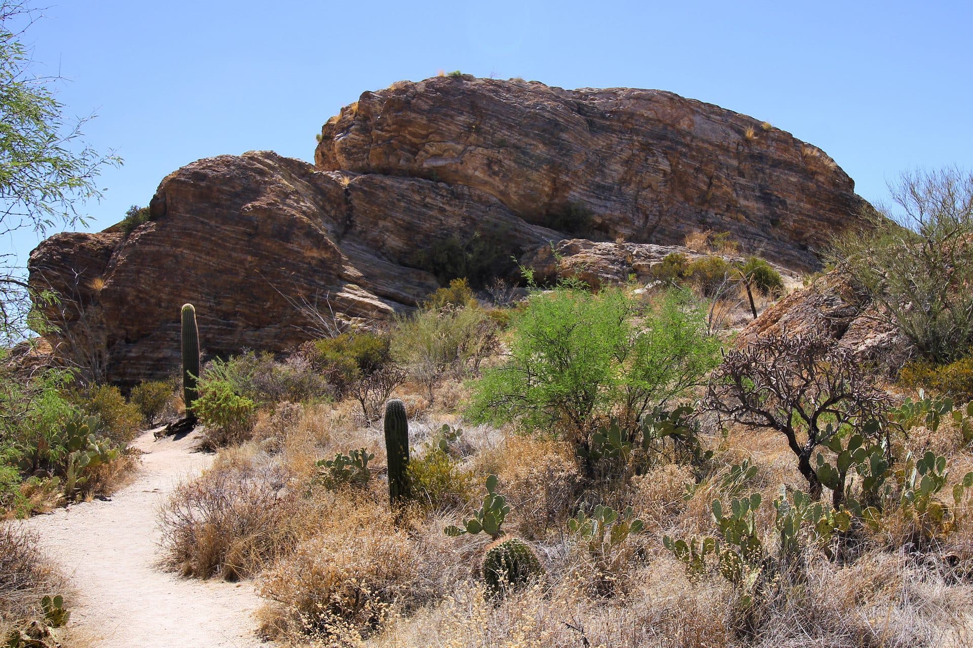 Horse Property in Tucson: Where It Is, What It Costs and the Zoning Rules (2026)