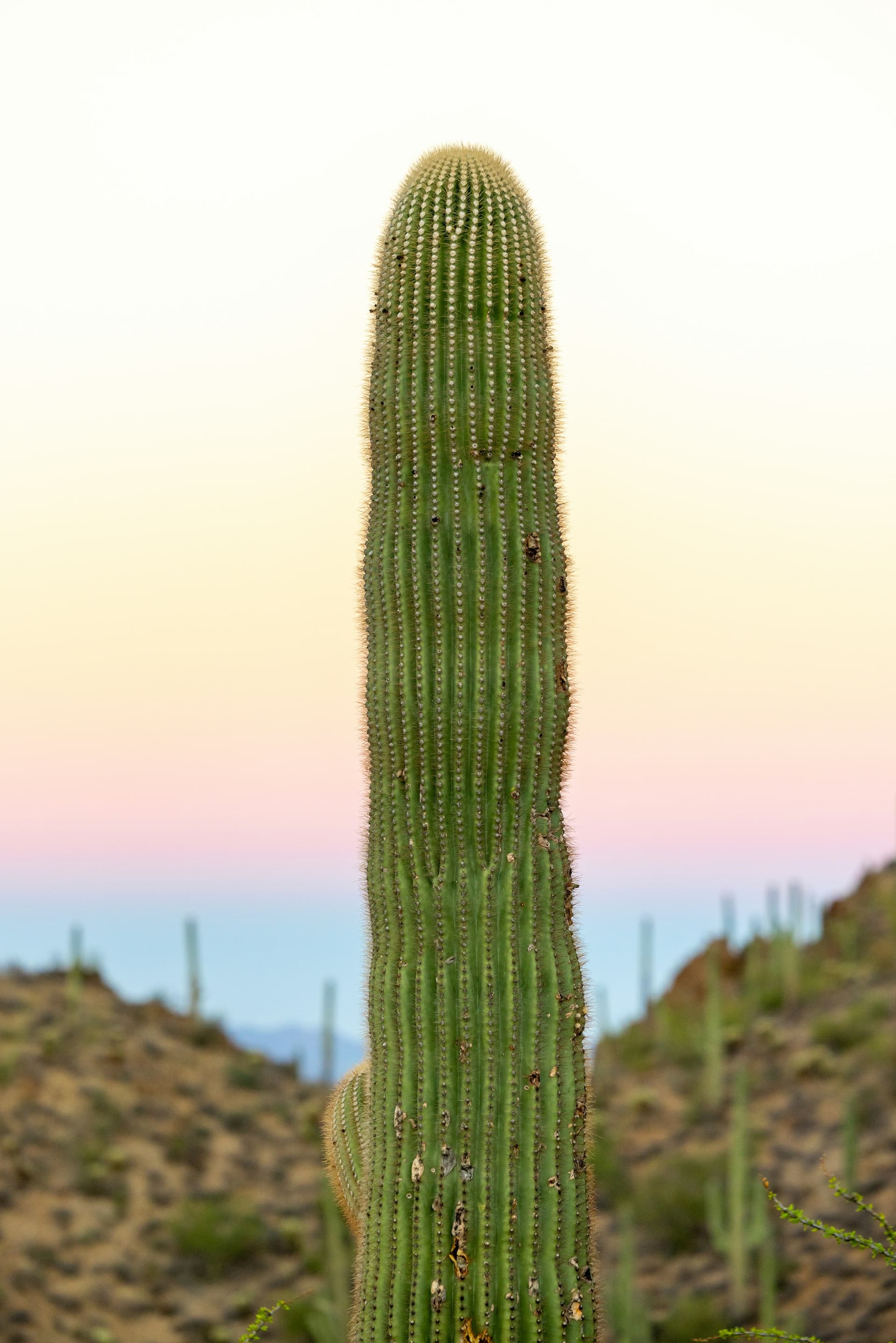 Vail, Tucson AZ